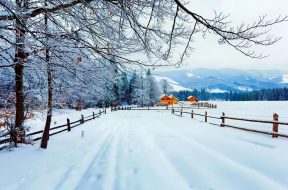 winter-in-countryside