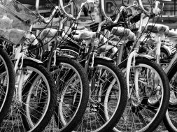 rowery miejskie w Chełmie