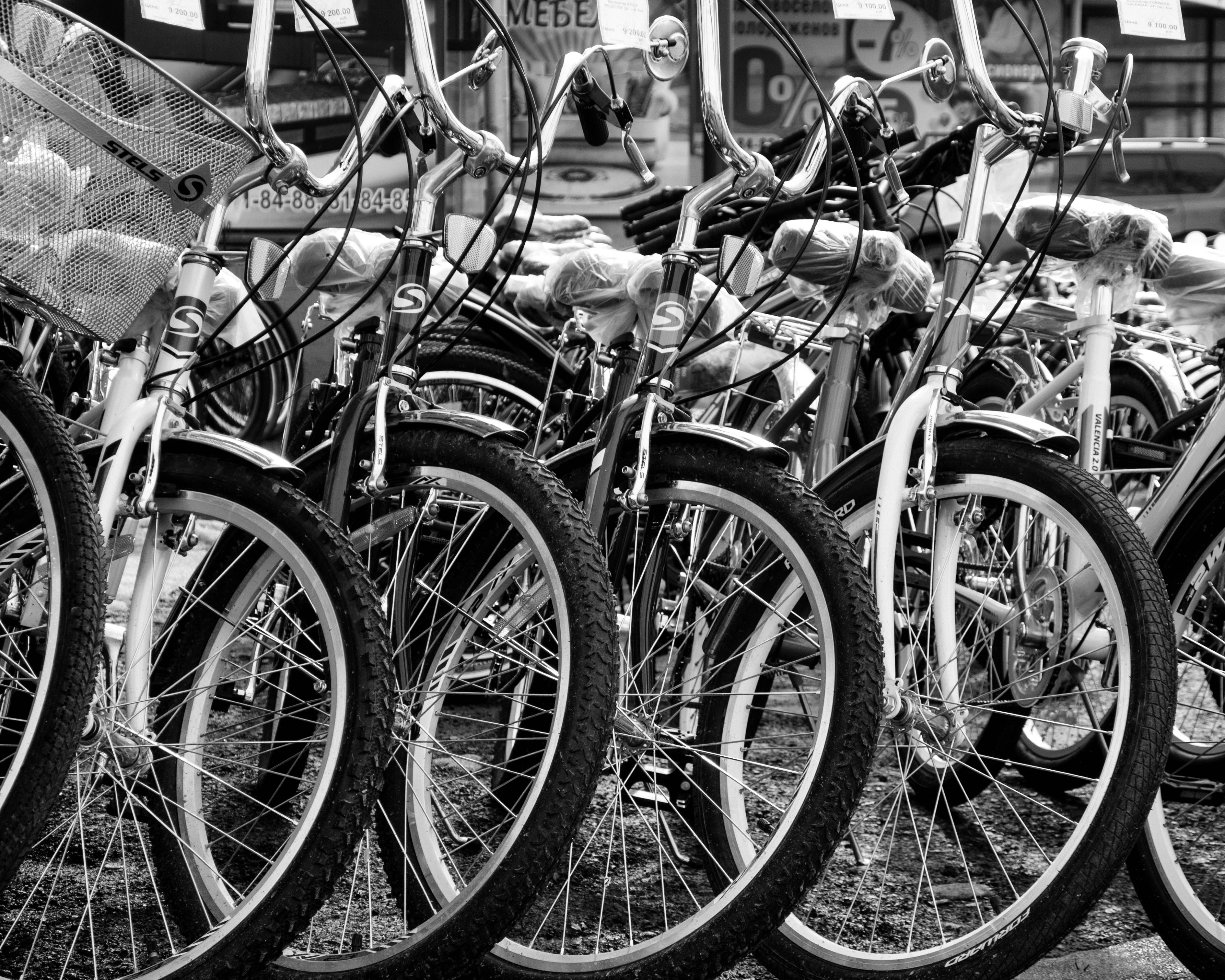 Rowery miejskie w Chełmie już jesienią