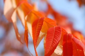 Wesołe bywa życie staruszka