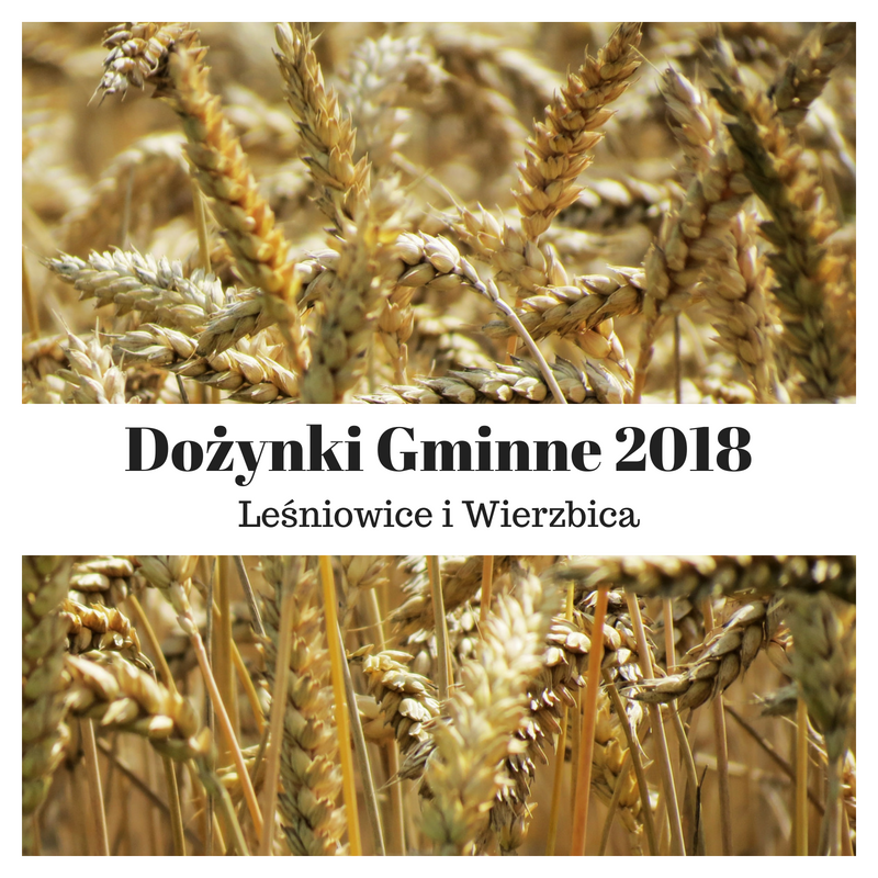 Dożynki Gminne 2018- Leśniowice i Wierzbica