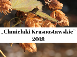 „Chmielaki Krasnostawskie” 2018