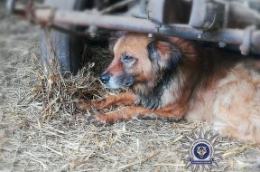 content_6ec035cd-3075-452c-b3ba-c05baa192330