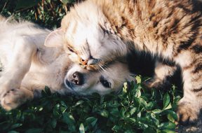 friends-1149841_640