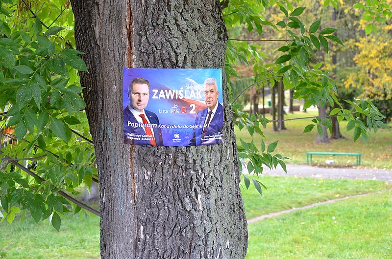 Plakat wyborczy PiS na drzewie