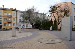plac-bez-drzewa