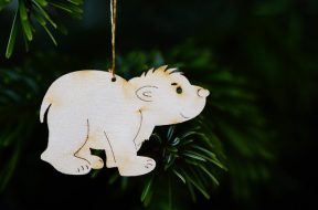 polar-bear-582151_640